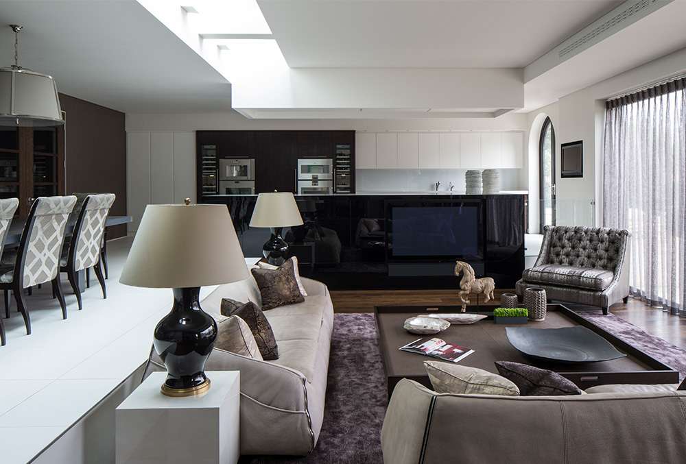 family entertaining space with kitchen and dining seating