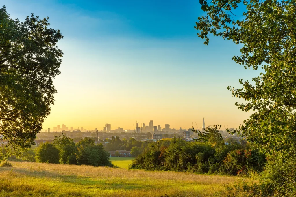 Hampstead Cover Image